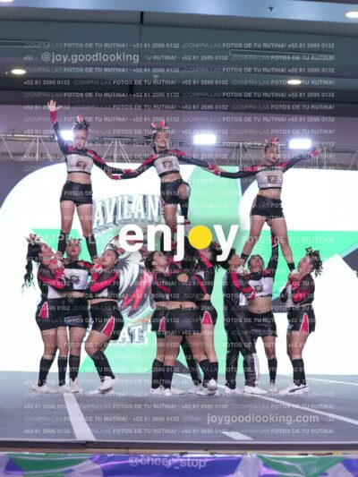 Gav0331
