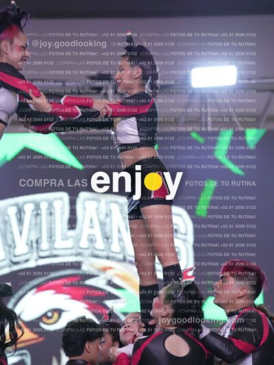 Gav0335