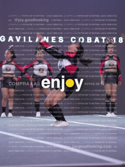 Gav0350