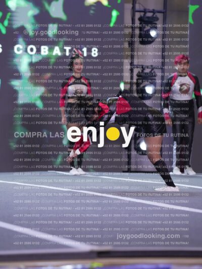 Gav0351