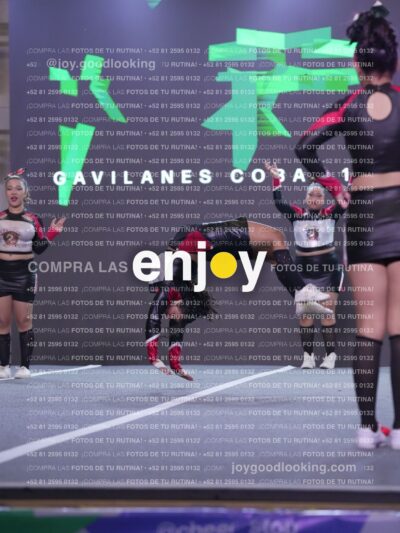 Gav0360