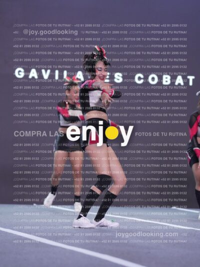 Gav0373