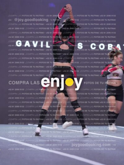 Gav0375