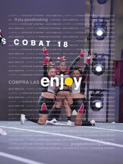 Gav0377