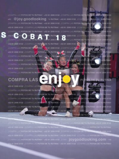 Gav0379