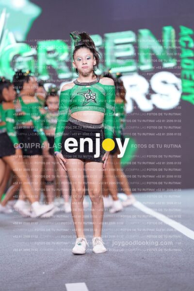 Gsl0344