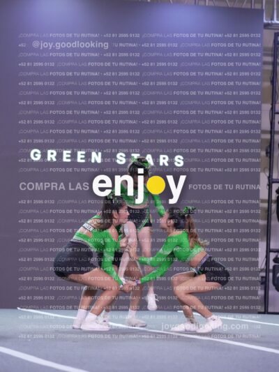 Gsl0433