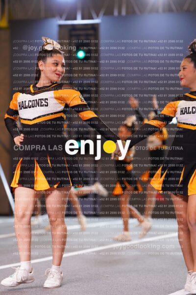 Hlc0202