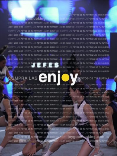 Jef0341