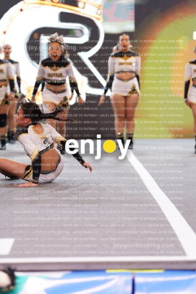 Joy Bqsf 034