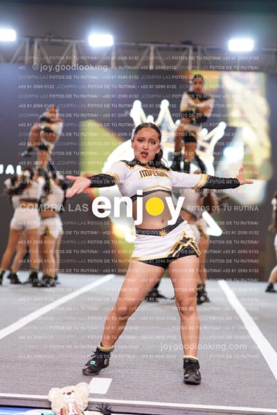 Joy Bqsf 104