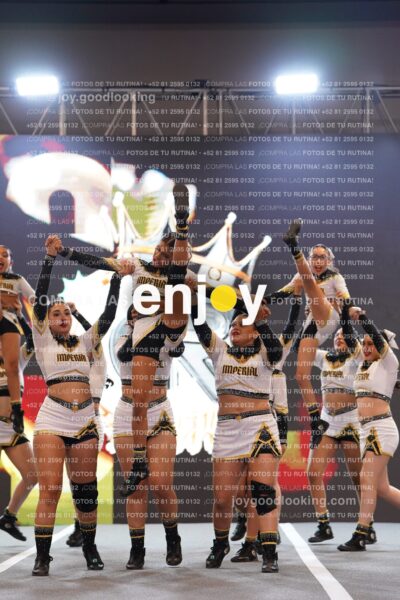 Joy Bqsf 119