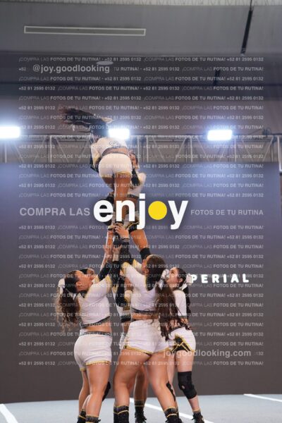 Joy Bqsf 126
