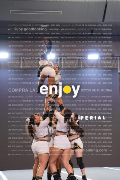 Joy Bqsf 127
