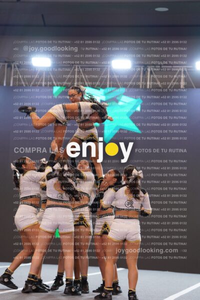 Joy Bqsf 131