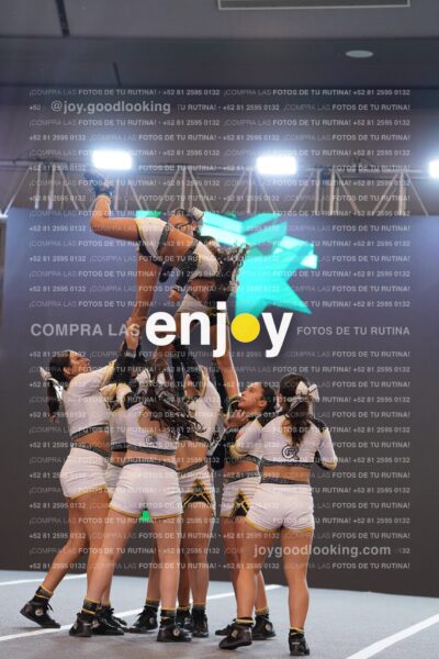 Joy Bqsf 132