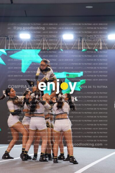 Joy Bqsf 133