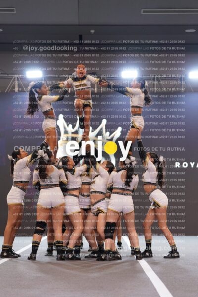 Joy Bqsf 149