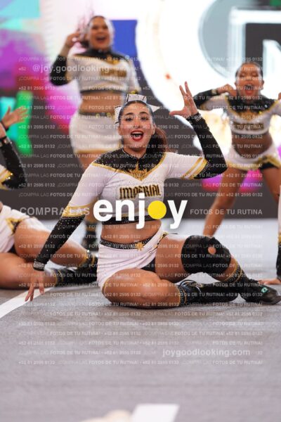 Joy Bqsf 193