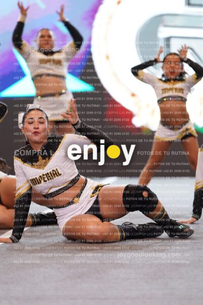 Joy Bqsf 195
