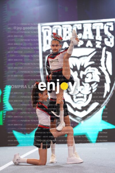 Joy Brpg 001