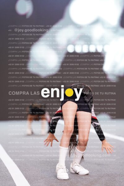 Joy Brpg 015