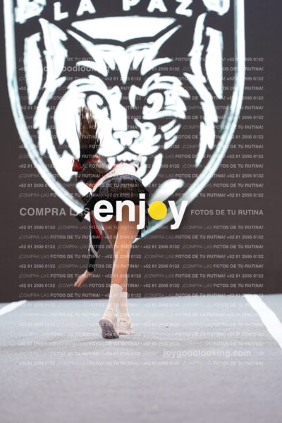 Joy Brpg 016