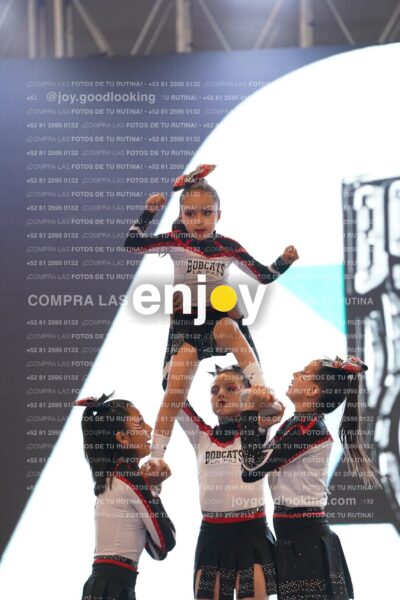 Joy Brpg 036