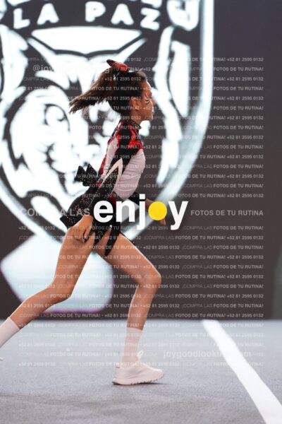 Joy Brpg 062