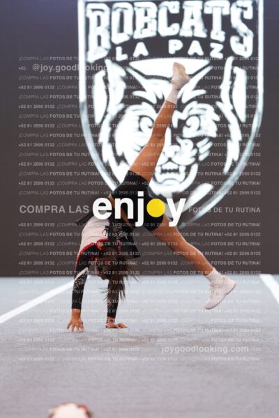 Joy Brpg 070