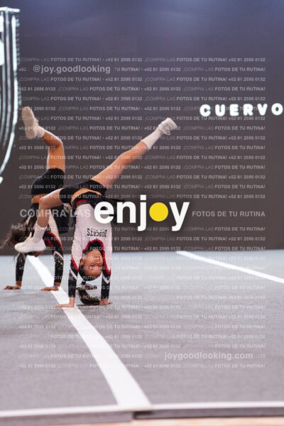 Joy Brpg 074