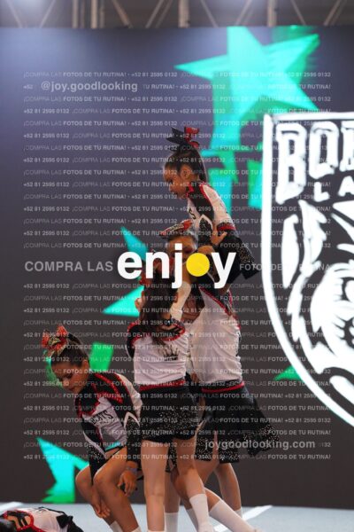 Joy Brpg 083