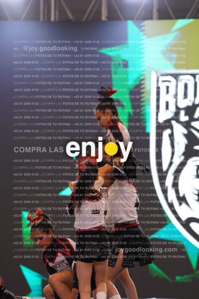 Joy Brpg 084
