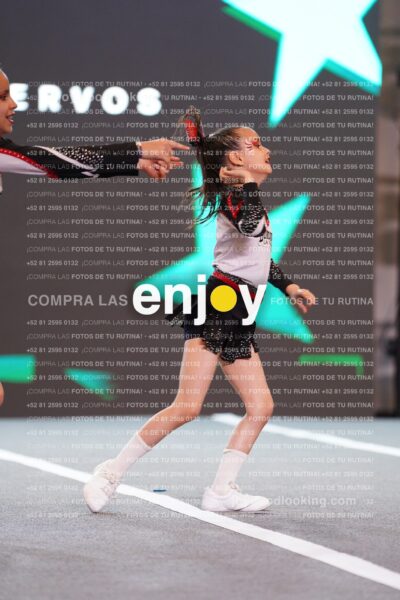 Joy Brpg 111
