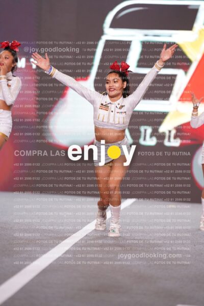 Joy Cac2 133