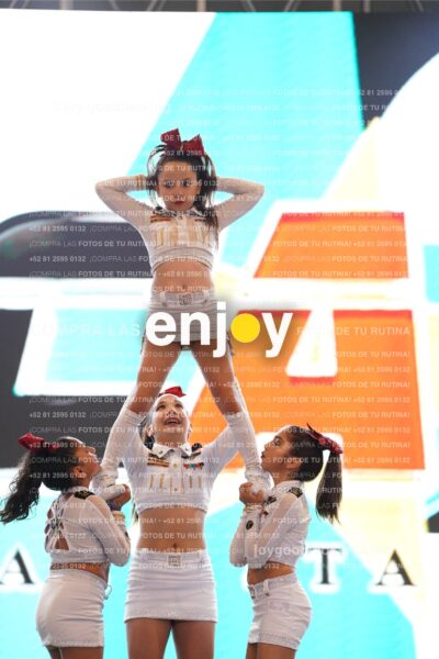 Joy Casf 017