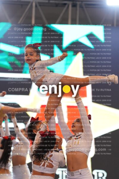Joy Casf 081