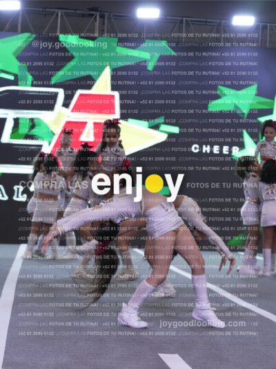 Joy Casf 198