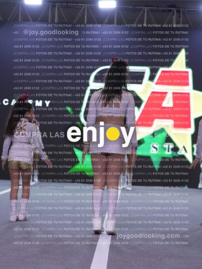 Joy Casf 211