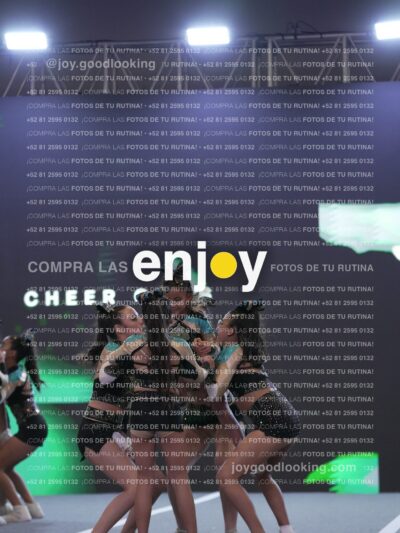 Joy Csf 085
