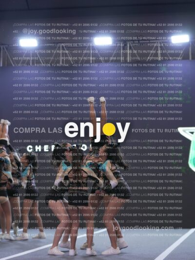 Joy Csf 087