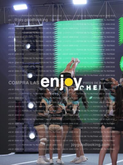 Joy Csf 090