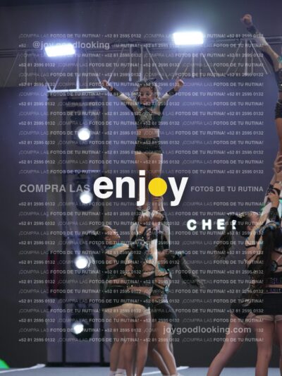 Joy Csf 098