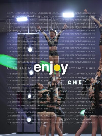 Joy Csf 099