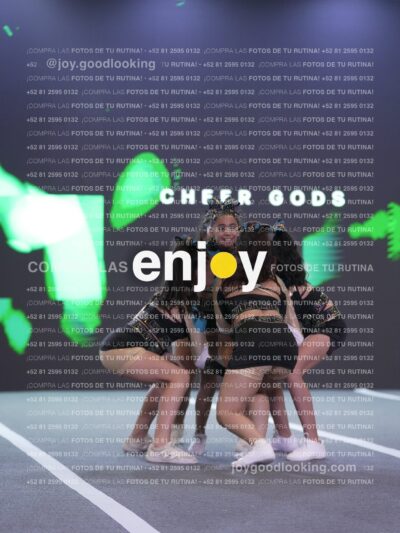 Joy Csf 112