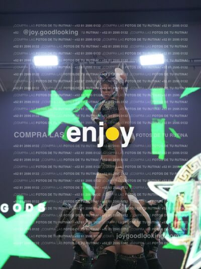 Joy Csf 132