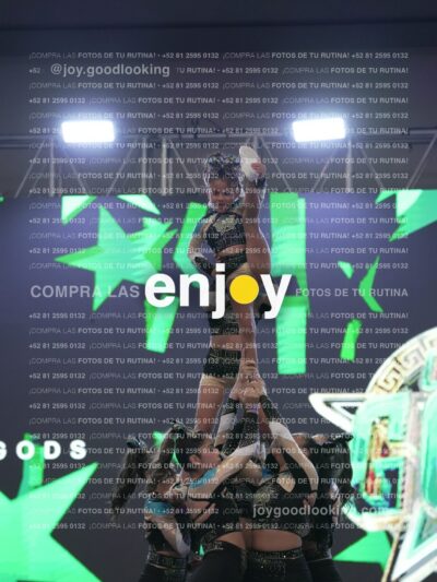 Joy Csf 133