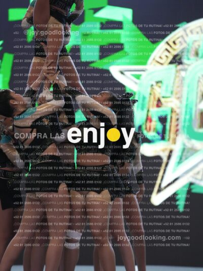 Joy Csf 136