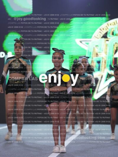 Joy Csf 155
