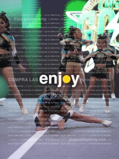 Joy Csf 156
